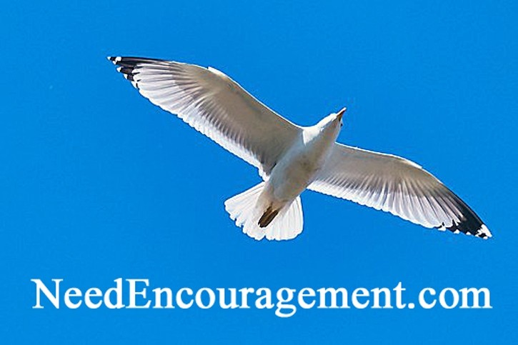 Need some encouragement? NeedEncouragement.com