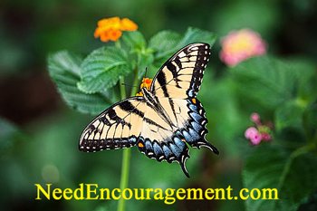 Free Christian things! NeedEncouragement.com