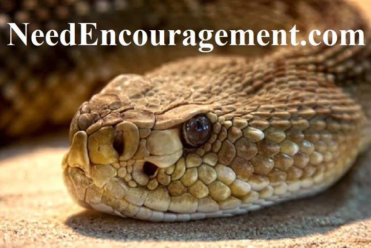 Sin and evil have got to go! NeedEncouragement.com