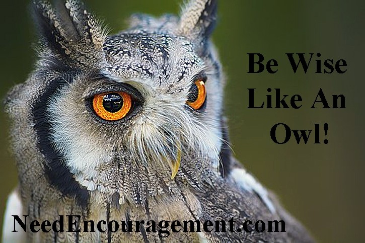 Be wise! NeedEncouragement.com