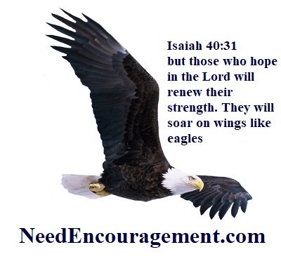 Soar on wings like eagles!