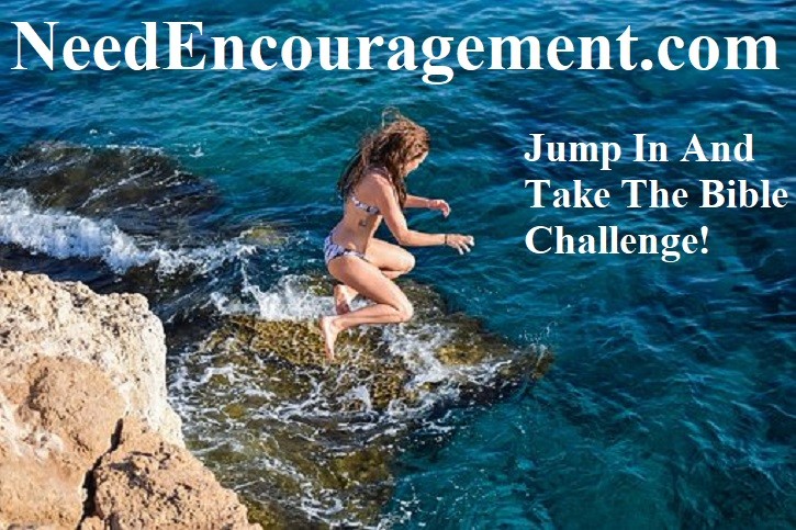 The Bible challenge! NeedEncouragement.com