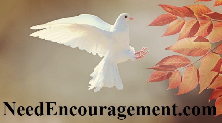 Spirit filled Christian! NeedEncouragement.com
