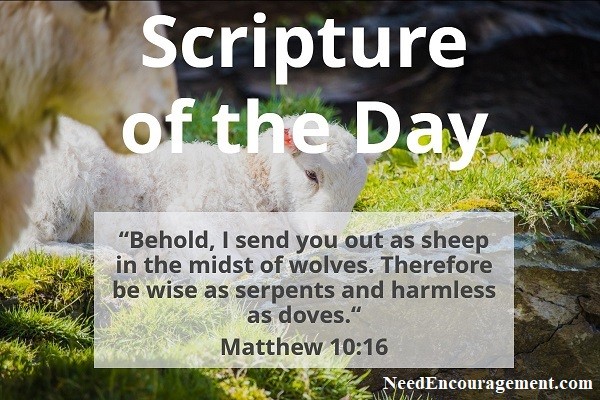 Behold, I send you out as sheep in the midst of wolves. Therefore be wise as a serpents and harmless as doves. Matthew 10:16 NeedEncouragement.com