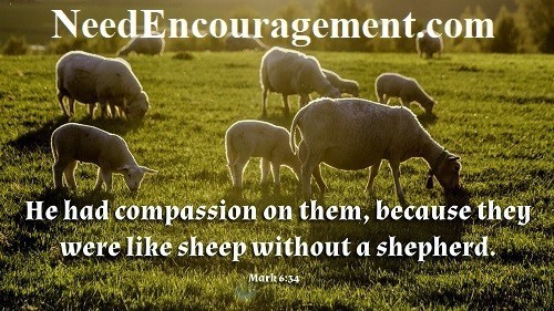 Psalm 23 He had compassion on them. because they were like sheep without a shepherd.  NeedEncouragment.com